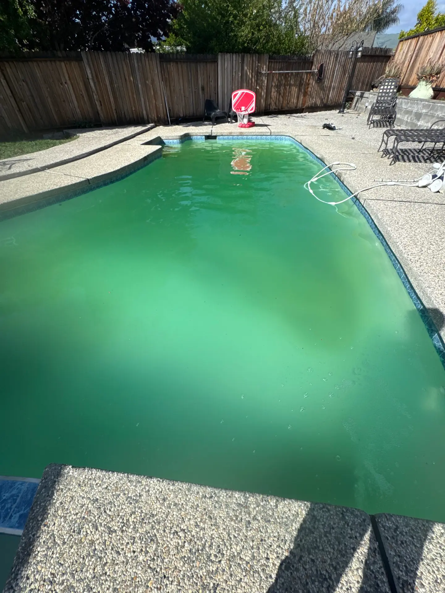 Green-to-clean pool recovery in Riverside, CA