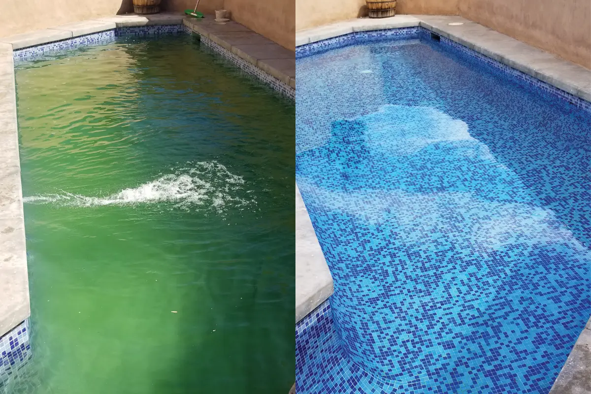 Green to Clean pool recovery service in Riverside CA removing algae from swimming pool