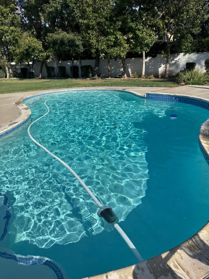 Backyard swimming pool with clear blue water, a white pool hose along the edge, and a row of trees and a white fence in the background.